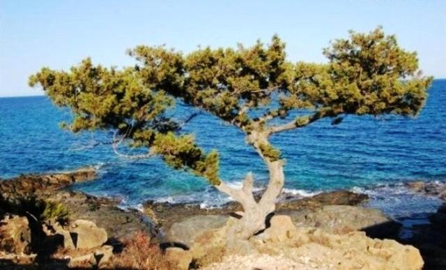 Apartamento Tanca Della Torre Trilocale Vista Mare Isola Rossa Exterior foto